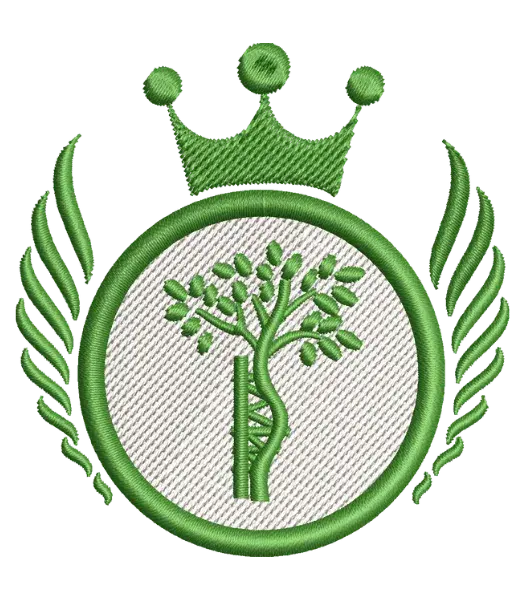 Matriz de Bordado Curso Ortopedia